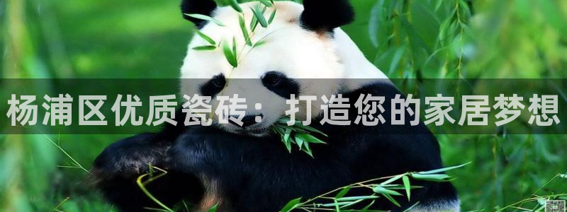 杏鑫娱乐平台测速