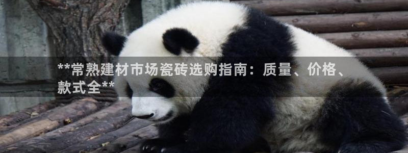 杏鑫代理注册平台