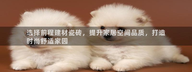 杏鑫平台官方网站