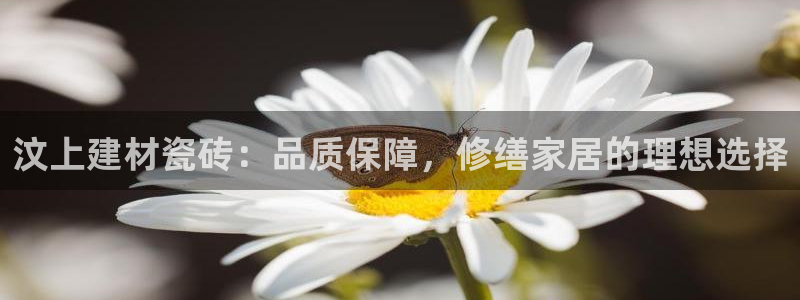 杏鑫娱乐是合法的吗是真的吗