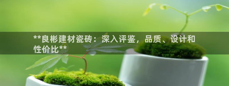 杏鑫官网注册账号是什么意思