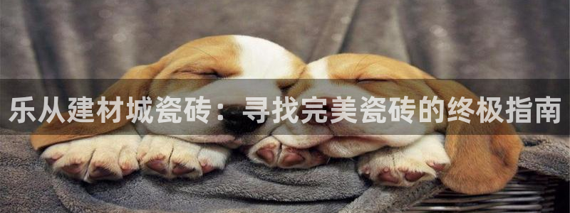 杏鑫平台是黑平台吗是真的吗