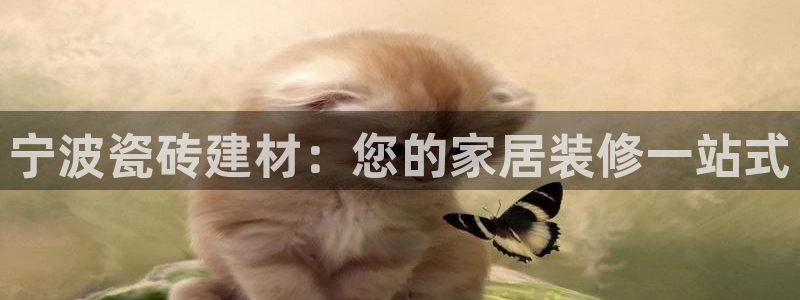 杏鑫官网最新信息新闻报道