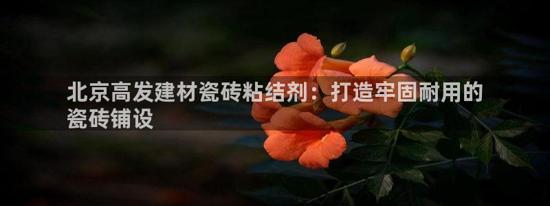 杏鑫官网注册账号是什么