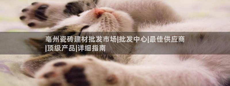 杏鑫平台是黑平台吗知乎