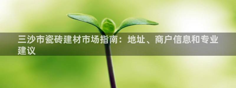 杏鑫主管