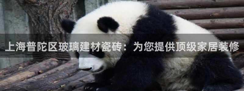 杏鑫官方平台怎么样啊知乎