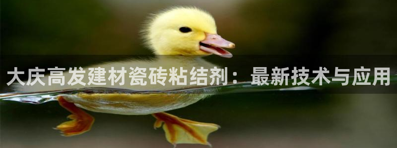 杏鑫注册登录网址是什么