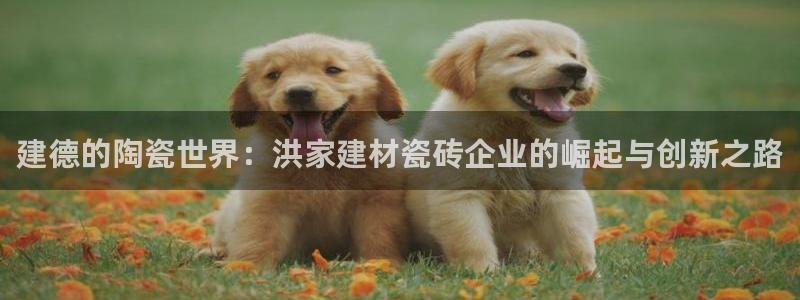 杏鑫平台怎么样黑钱吗知乎
