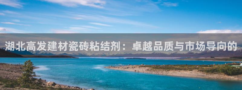 杏鑫平台招商