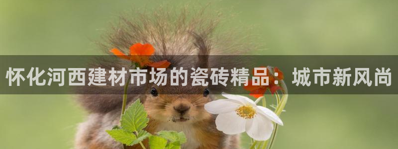 杏鑫平台登录地址