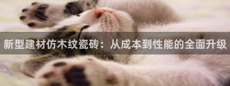 杏鑫娱乐平台