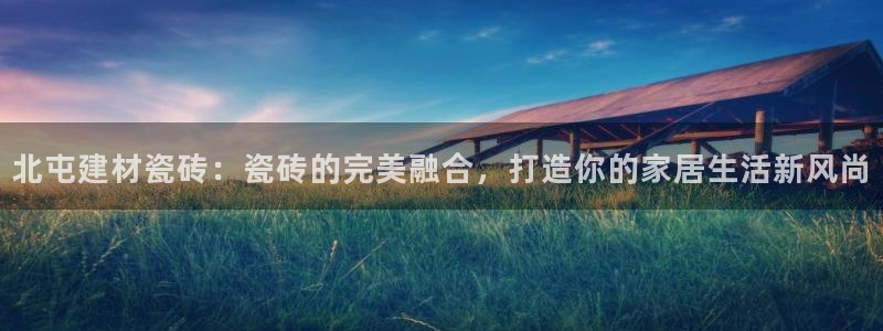 杏鑫娱乐开发团队