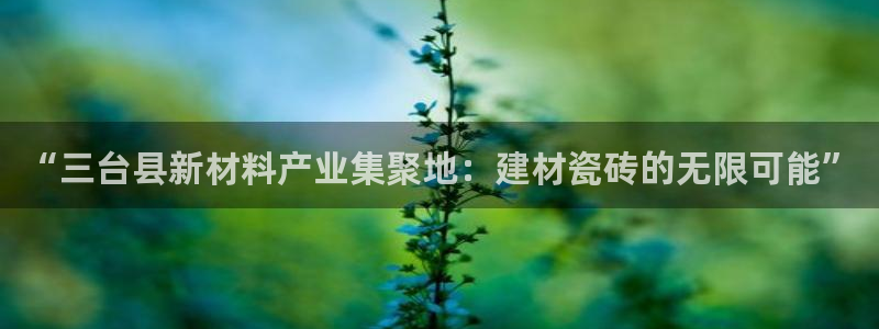 杏鑫平台代理怎么做的