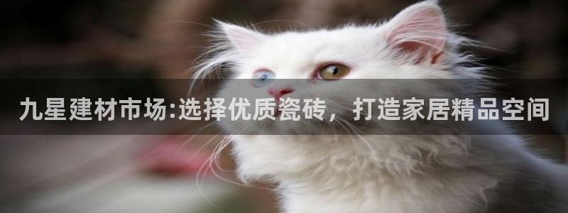 杏鑫娱乐多少年了