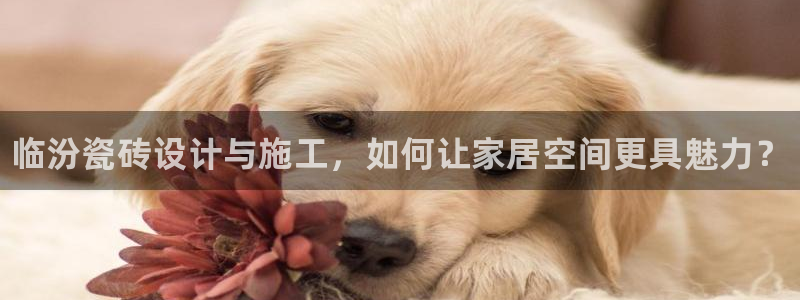 杏鑫平台登录地址