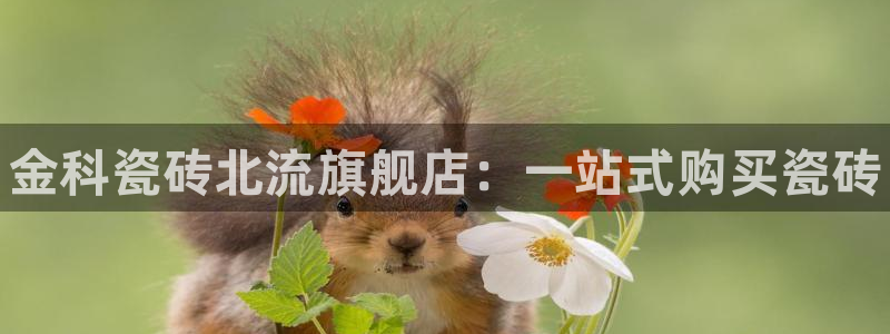 杏鑫平台线路测速