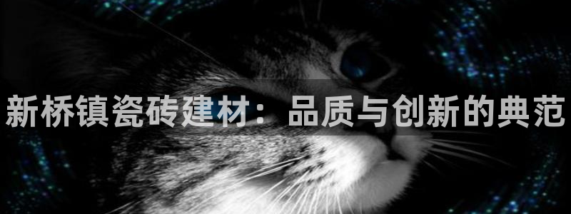 杏鑫官网注册账号是什么意思