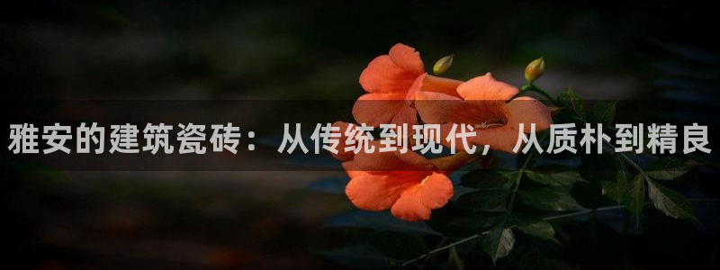 杏鑫平台登录地址