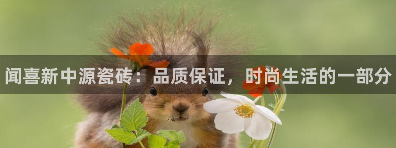 杏鑫注册登录网