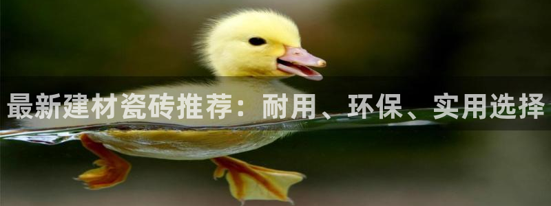 杏鑫娱乐平台测速怎么样