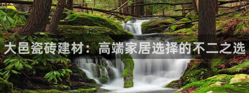 杏鑫代理注册平台