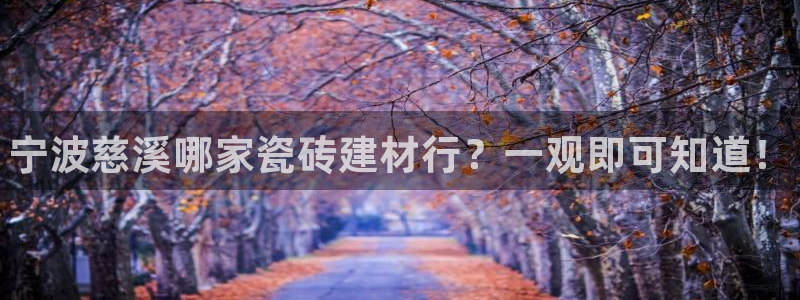 杏鑫平台招商电话号码查询