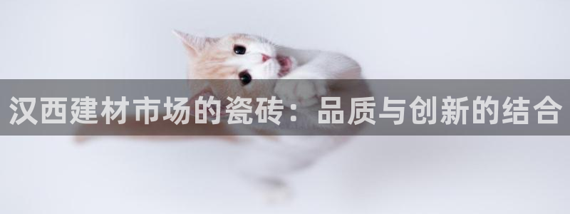 杏鑫平台注册网址是多少