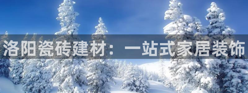 杏鑫平台代理注册多少钱一年