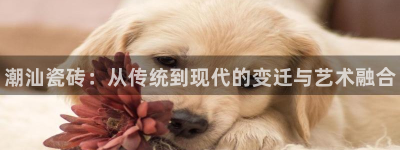 杏鑫平台代理怎么样可靠吗