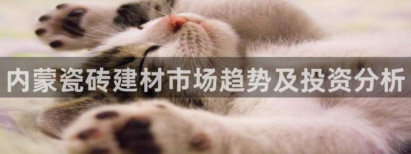 杏鑫官网最新信息新闻报道