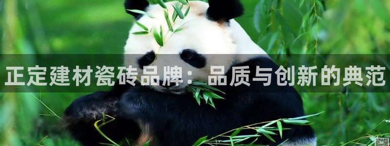 杏鑫手机客户端怎么下载