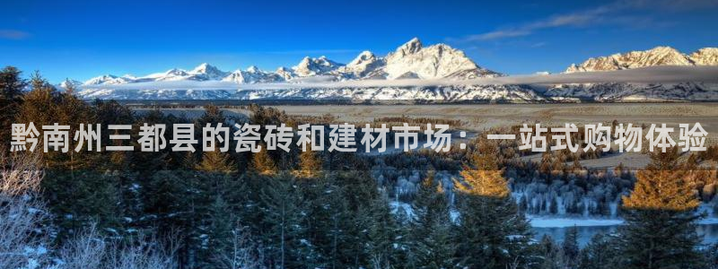 杏鑫官网注册账号是什么意思