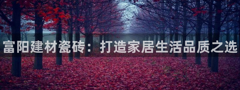 杏鑫平台代理注册