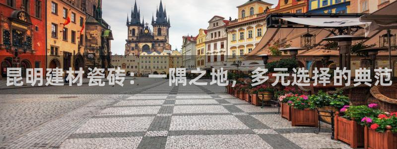 杏鑫平台代理注册登录不了怎么办呀苹果