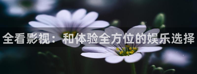 四库影库
