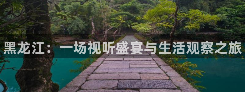 四库影影院：黑龙江：一场视听盛宴与生活观察之旅