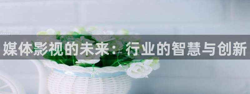 四库影视网