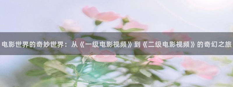 四库影视网