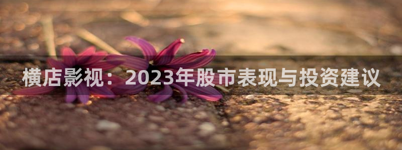 四库影院在线观看：横店影视：2023年股市表现与投资建议