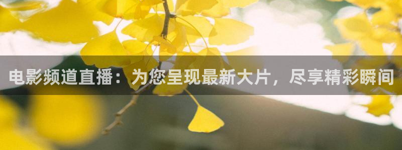 四库影院永久在线观看