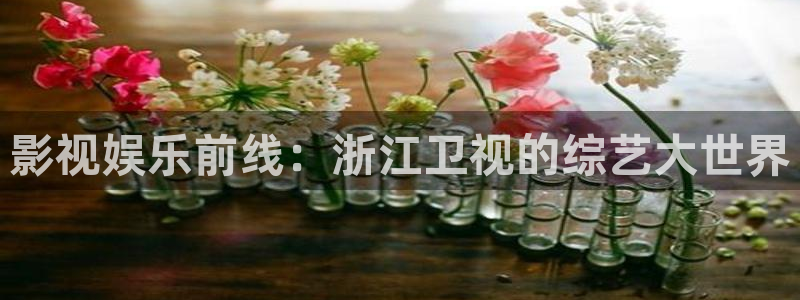 四库影院免费观看：影视娱乐前线：浙江卫视的综艺大世界
