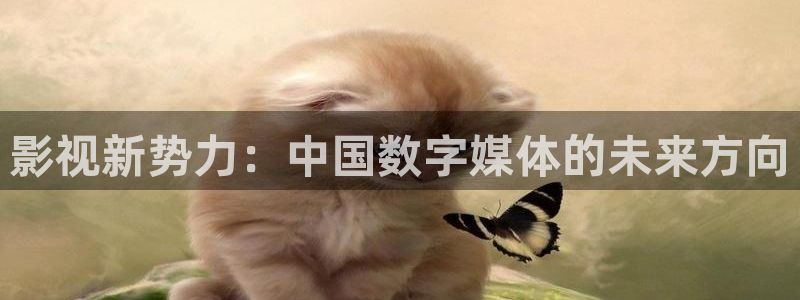 四库影院在线电影免费观看全集高清下载安装手机版