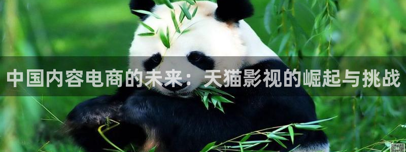 四库影视：中国内容电商的未来：天猫影视的崛起与挑战